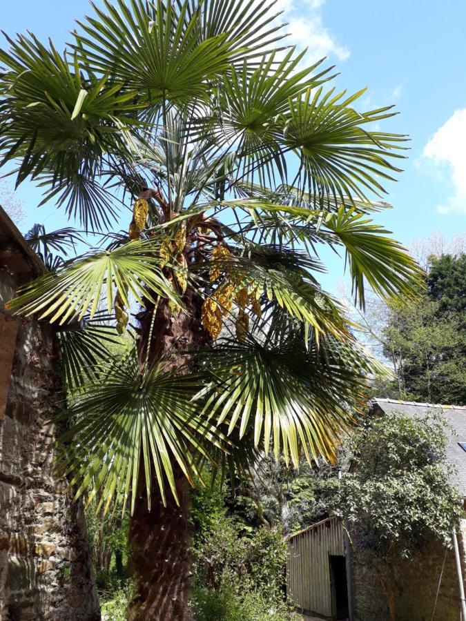 GoudelinLe Vieux Moulin住宿加早餐旅馆 外观 照片