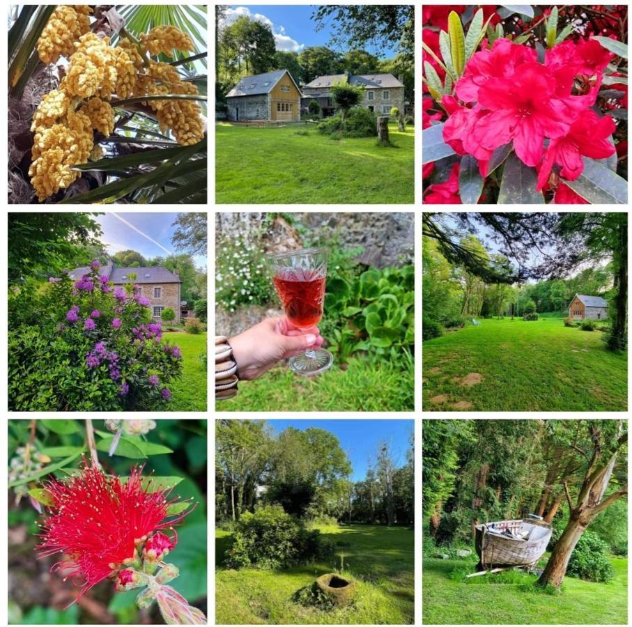 GoudelinLe Vieux Moulin住宿加早餐旅馆 外观 照片